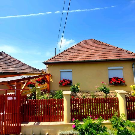 Apartament Kata Vendeghaz Sátoraljaújhely Zewnętrze zdjęcie